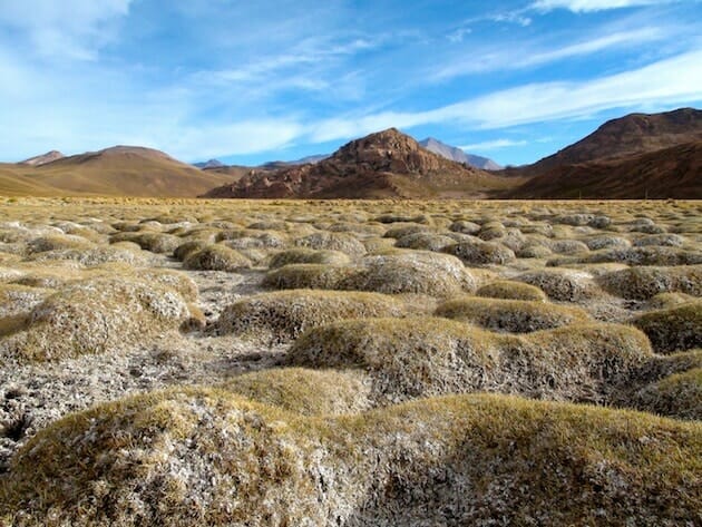 plaines et montagnes sud lipez expédition salar d'uyuni bolivie