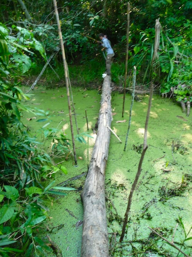 treck de survie Parc national Madidi bolivie