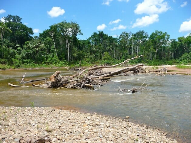 rivière parc national de Madidi Bolivie