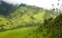 vallée de cocora salento colombie