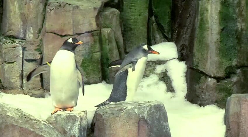 biodome montreal