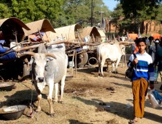 campement des artisans festival de bagan birmanie