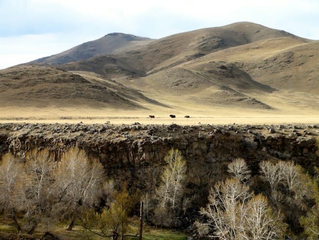 expedition van russe mongolie expedition van russe mongolie