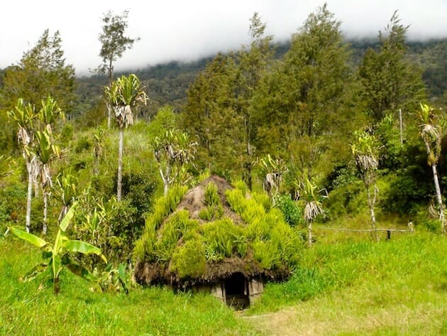 Hutte papou vallée du Baliem Papouasie