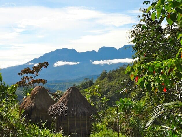 village papou vallée du baliem papouasie