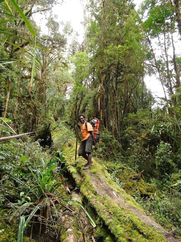 Yesaya sur un tronc vallée du Baliem Papouasie
