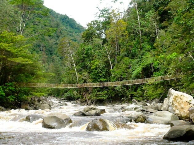 vallée du baliem papouasie pont suspendu en cordage