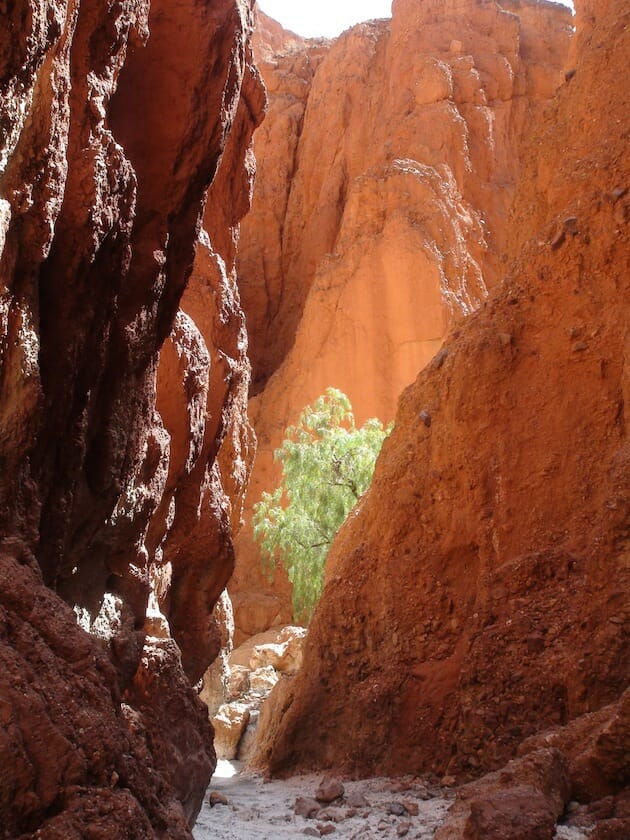 canyons de tupiza bolivie