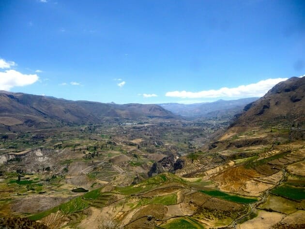 cultures en terrasse canyon de colca arequipa pérou