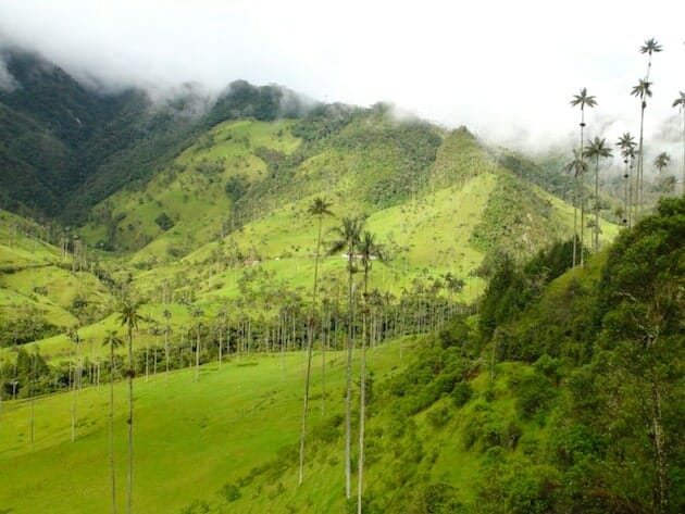 vallée de cocora salento colombie vallée de cocora salento colombie