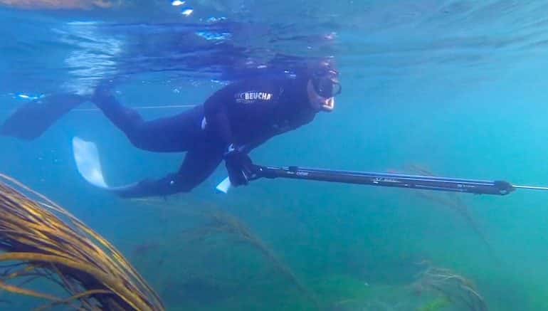 La chasse sous Marine en Bretagne chasse sous marine bretagne Vizeo blog voyage