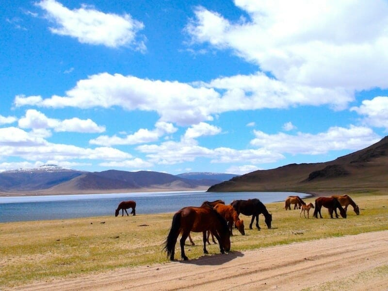 Mongolie les choses a faire Mongolie les choses a faire