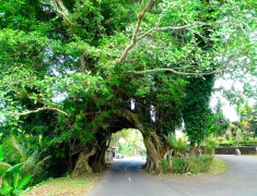 route bali route bali