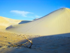 dune de sable cote ouest australie