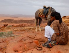 bedouin cheval wadi rum