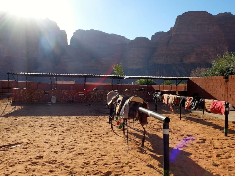 ecuries wadi rum jordanie