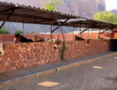 boxes ecuries wadi rum boxes ecuries wadi rum