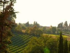 arriere pays toscane italie arriere pays toscane italie
