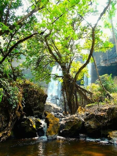 cascade secrete au plateau des bolovens laos cascade secrete au plateau des bolovens laos