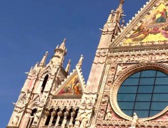 cathedrale rosace sienne cathedrale rosace sienne