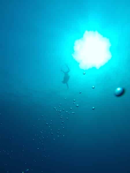 descente apnee villefranche sur mer mediterranée descente apnee villefranche sur mer mediterranée