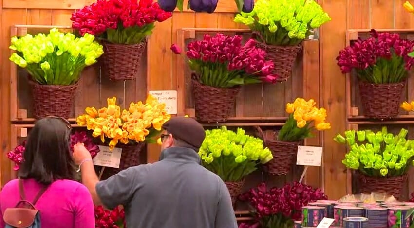 marche aux fleurs amsterdam