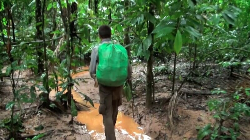 Parc National de Madidi - Bolivie Tour du monde