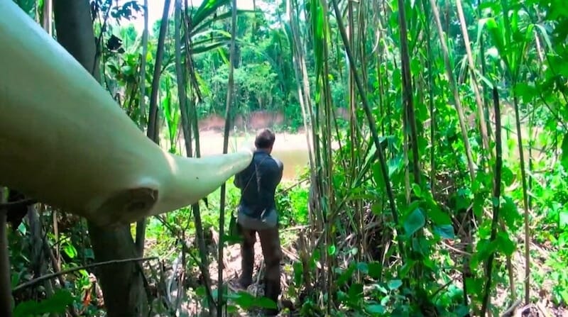 Parc National de Madidi - trek bolivie