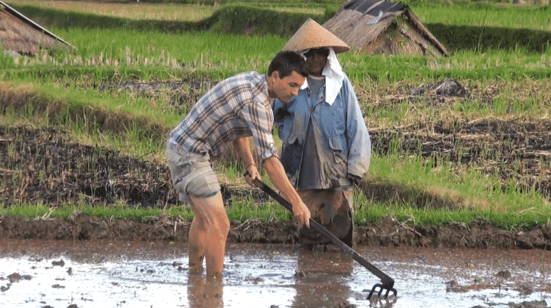 Que faire a Bali Que faire a Bali