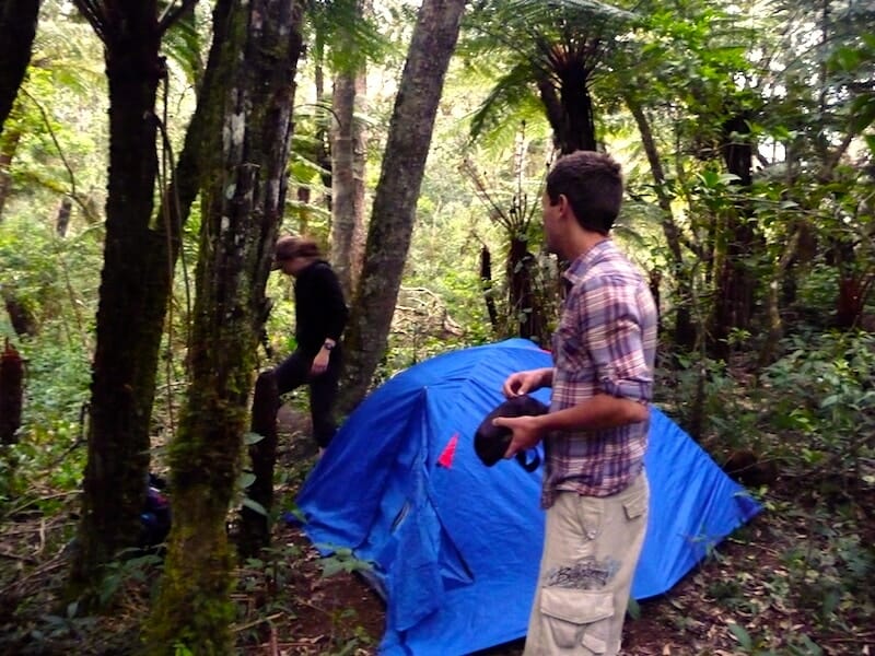camper dans la jungle bolivie camper dans la jungle bolivie