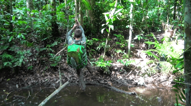 parc national de madidi bolivie treck