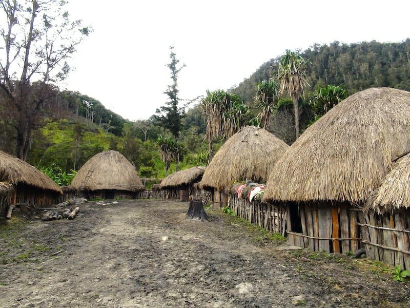 village papou vallee du baliem papouasie
