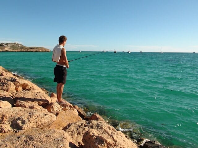 tax return alex australie