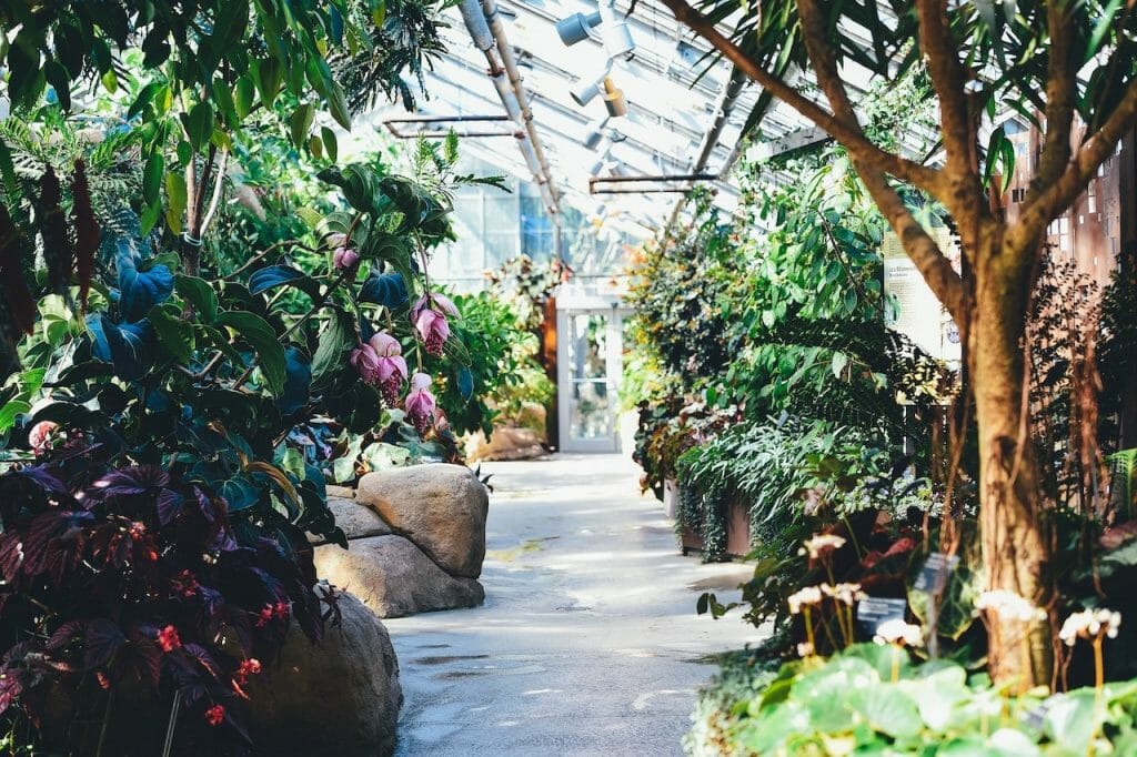 visiter montreal jardin botanique