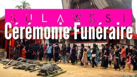 cérémonie toraja sulawesi