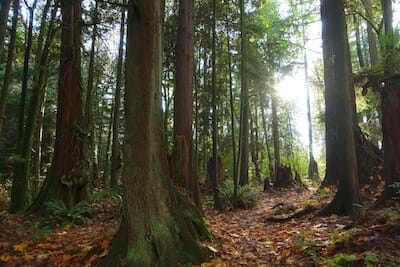 Stanley park vancouver Stanley park vancouver