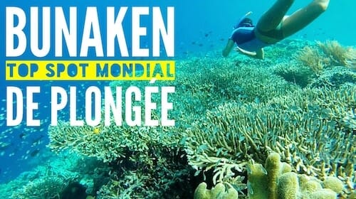 Bunaken en Indonésie : TOP 5 mondial pour la plongée et les fonds marins bunaken indonesie plongeebunaken indonesie plongee