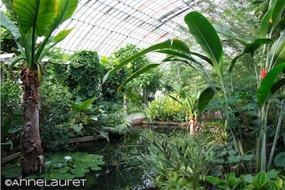 Jardin des Serres Auteuil Jardin des Serres Auteuil