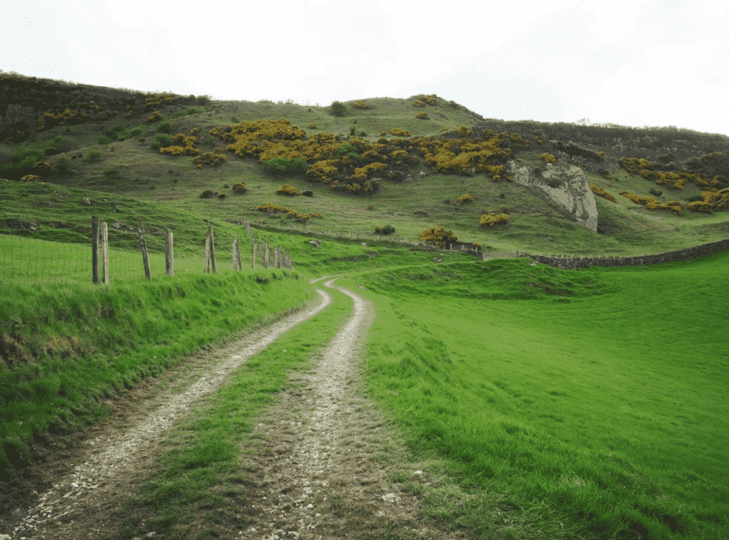 les vertes prairies irlande du nord