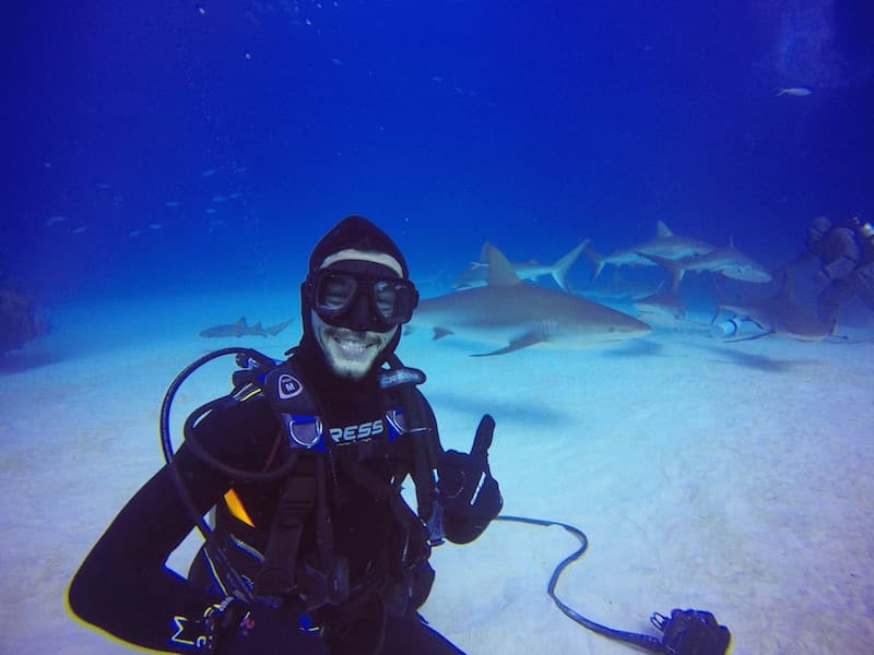 plongee requin grand bahamas