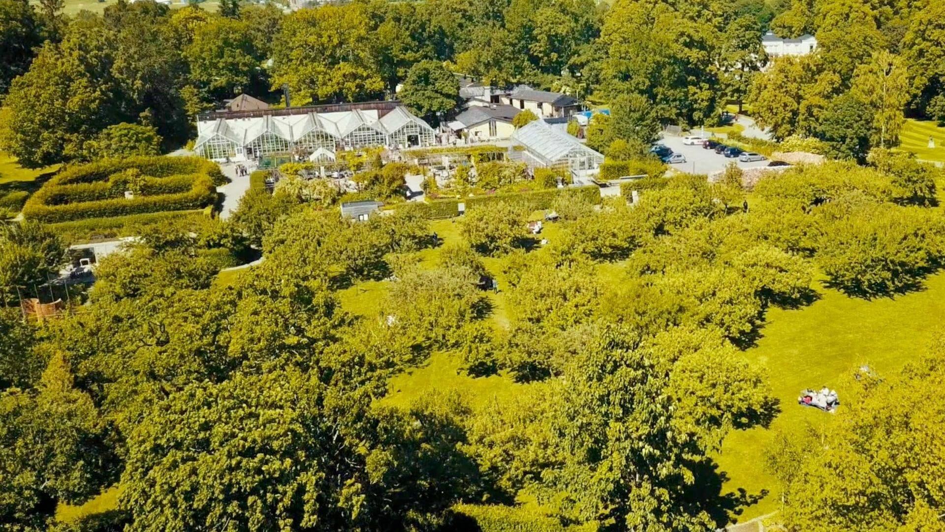 Rosendal Tradgard