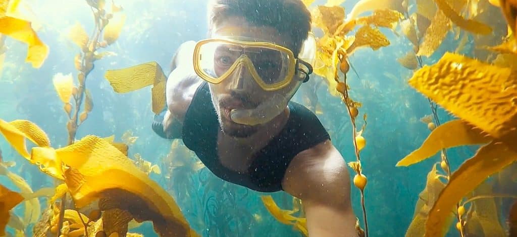 channel_islands_snorkeling_du_voyage_en_calirfornie channel_islands_snorkeling_du_voyage_en_calirfornie