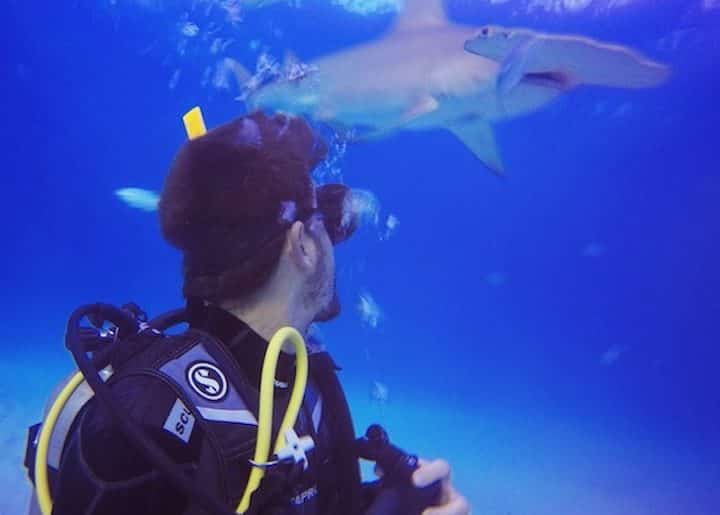 Les moments les plus forts que j’ai vécus en voyage – 2017 plongee-requin-marteau-Bimini-island