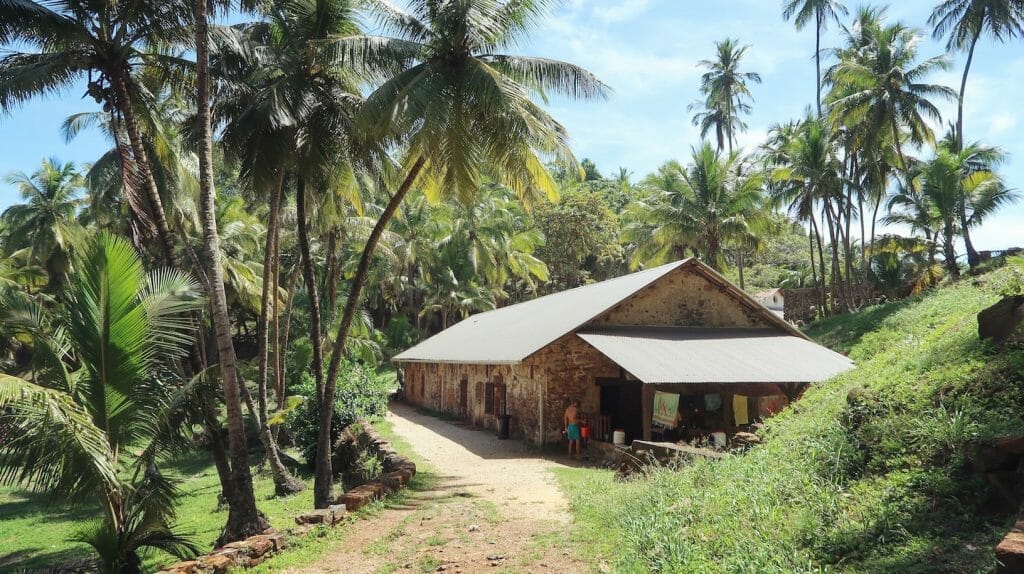 decouvrir_ancien_bagne_guyane decouvrir_ancien_bagne_guyane