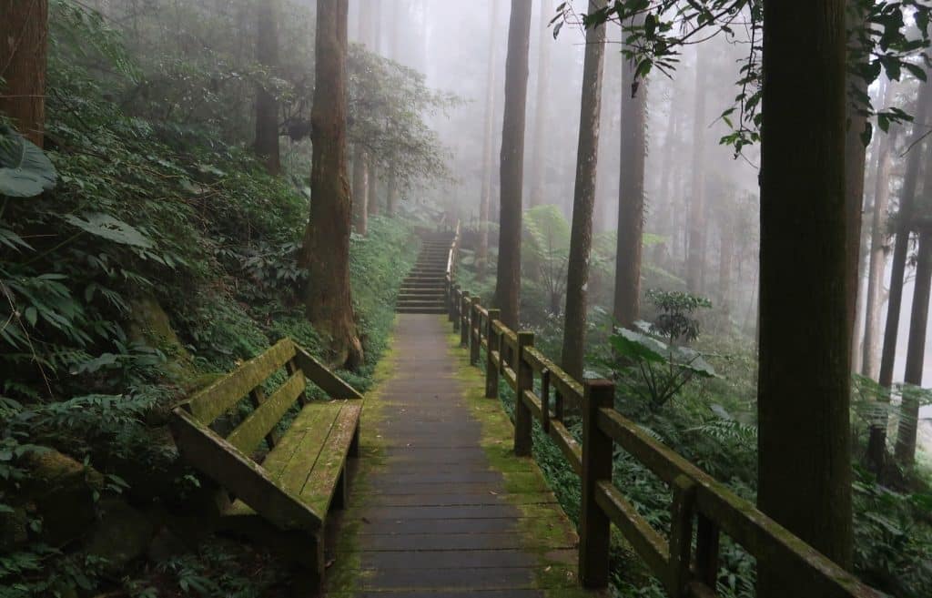 foret taiwan Fen Shi Hu
