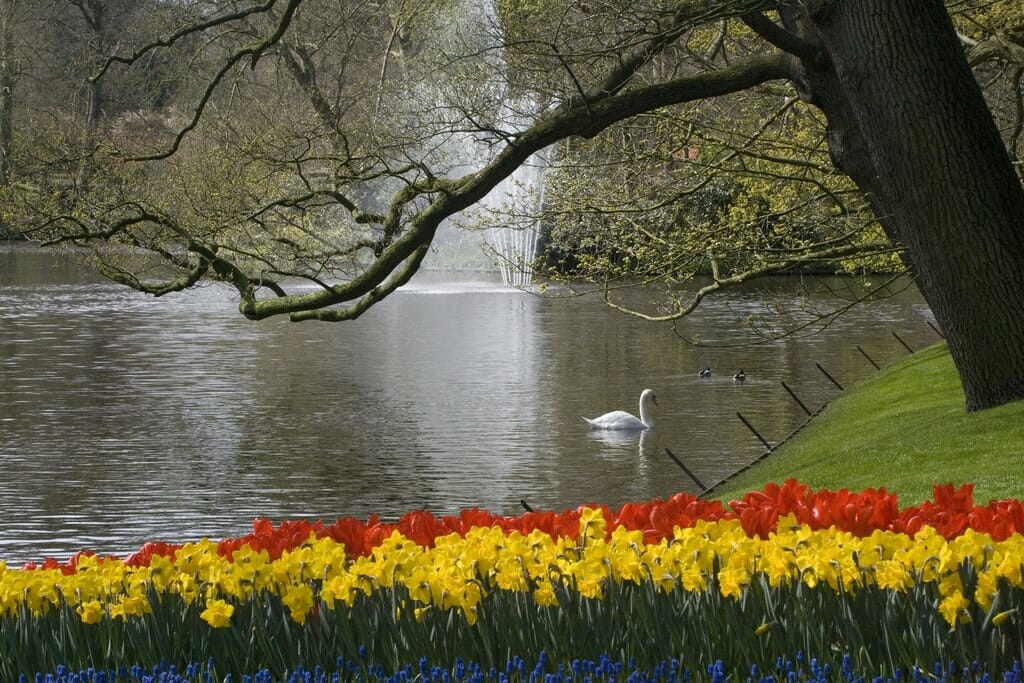 jardin keukenhof amsterdam ac