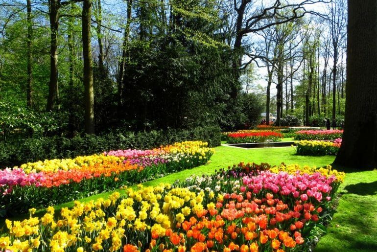 Visiter le Jardin de Keukenhof depuis Amsterdam parc keukenhof amsterdam tulipe