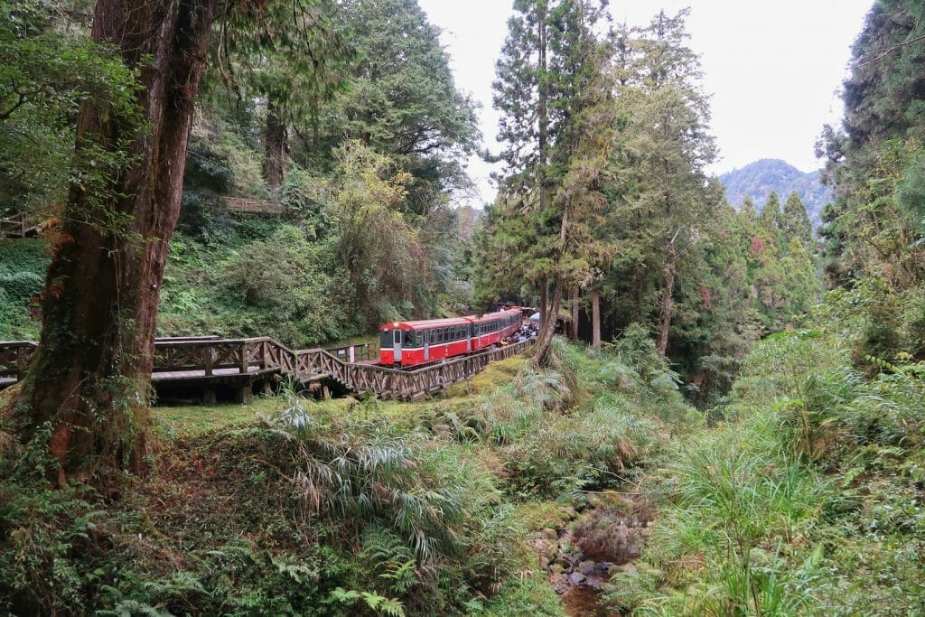 train Alishan parc national