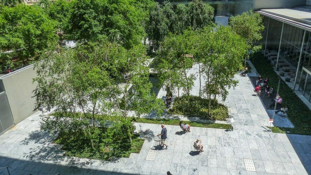 new_york_moma_musee.jpg Espace vert au coeur du Musée d'Art Moderne de New York