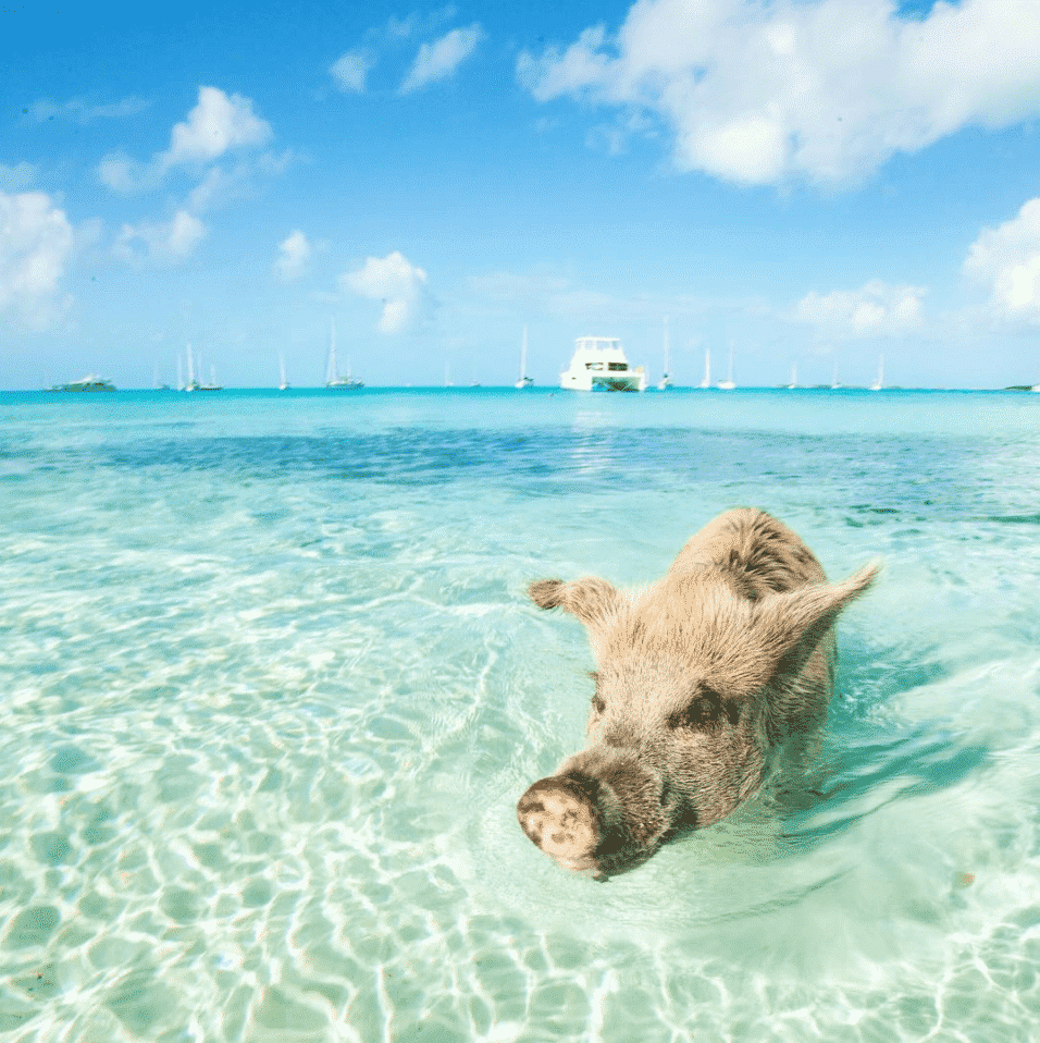 cloetclem-min meilleurs comptes Instagram voyage